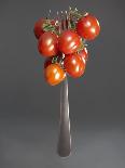 Cocktail Tomatoes on Fork-Hannes Eichinger-Photographic Print