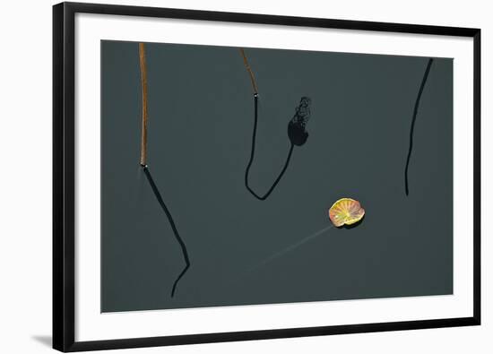 Hanoi Lotus-Nhiem Hoang The-Framed Giclee Print