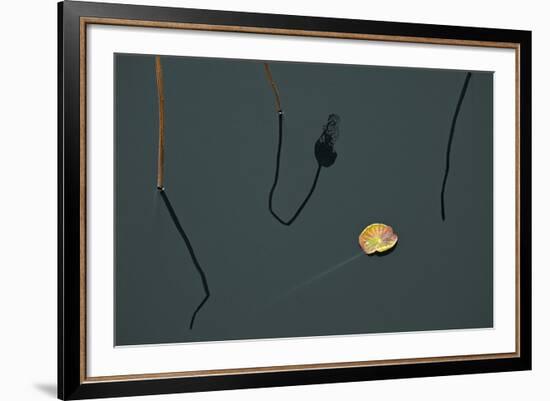 Hanoi Lotus-Nhiem Hoang The-Framed Giclee Print