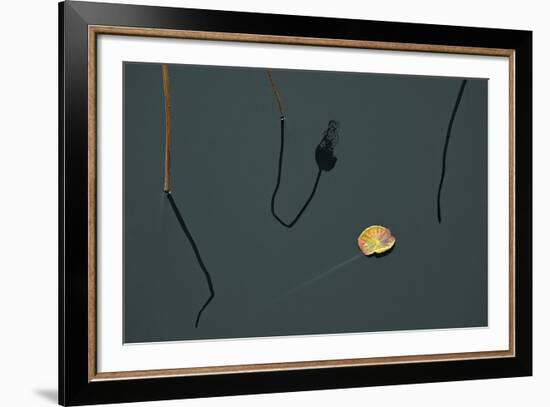 Hanoi Lotus-Nhiem Hoang The-Framed Giclee Print