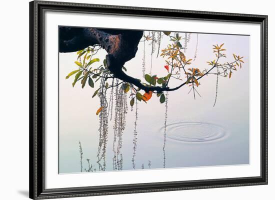 Hanoi Water Ripple-Nhiem Hoang The-Framed Giclee Print