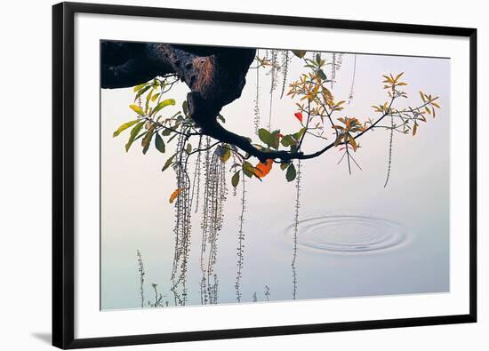Hanoi Water Ripple-Nhiem Hoang The-Framed Giclee Print