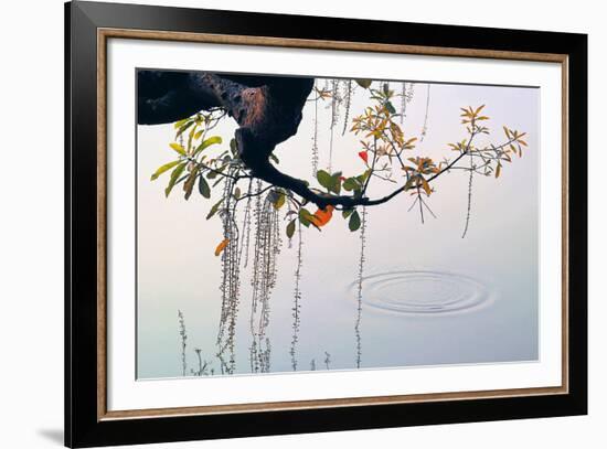 Hanoi Water Ripple-Nhiem Hoang The-Framed Giclee Print