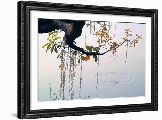 Hanoi Water Ripple-Nhiem Hoang The-Framed Giclee Print