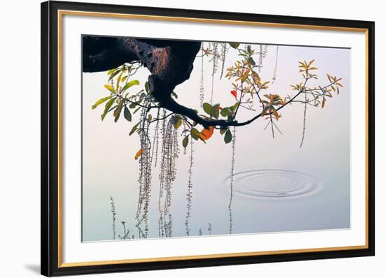 Hanoi Water Ripple-Nhiem Hoang The-Framed Giclee Print