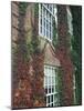 Hanover Ivy on Dartmouth College Building, New Hampshire, USA-Merrill Images-Mounted Photographic Print