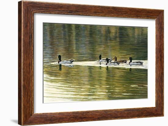 Hanover Mallards-Bruce Dumas-Framed Giclee Print