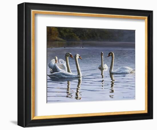 Hanover Swans Five-Bruce Dumas-Framed Giclee Print