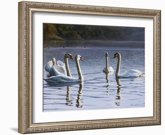 Hanover Swans Five-Bruce Dumas-Framed Giclee Print