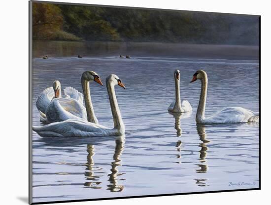 Hanover Swans Five-Bruce Dumas-Mounted Giclee Print