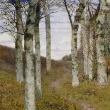 Birch Trees in Autumn, C.1898 (Oil on Wood)-Hans Am Ende-Framed Giclee Print