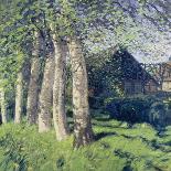 Birch Trees in Autumn, C.1898 (Oil on Wood)-Hans Am Ende-Framed Giclee Print