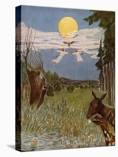 Stretched Canvas Print, , large