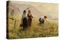 Stretched Canvas Print