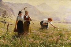 A Summer Day on a Norwegian Fjord-Hans Dahl-Giclee Print