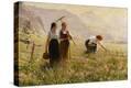 Stretched Canvas Print