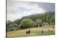 Stretched Canvas Print