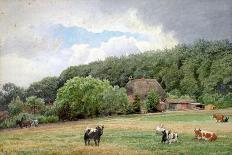 Holstein Cattle in a Field, Timmendorf, Germany-Hans Fredrik Gude-Giclee Print