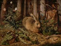 A Hare in the Forest, c. 1585-Hans Hoffmann-Giclee Print