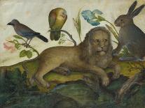 Animal Painting (Lion)-Hans Hoffmann-Giclee Print