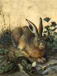 Hare-Hans Hoffmann-Giclee Print