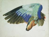 The Right Wing of a Blue Roller-Hans Hoffmann-Giclee Print