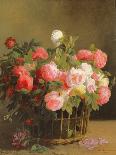 Basket of Roses (detail)-Hans Looscher-Stretched Canvas