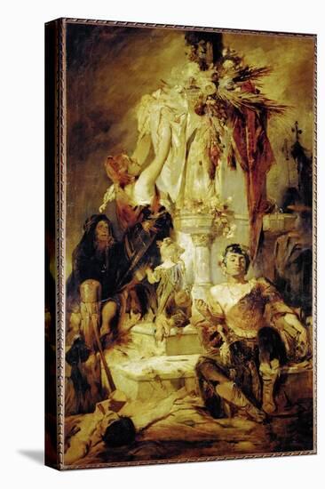 Stretched Canvas Print, , large