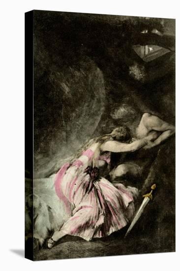 Stretched Canvas Print, , large