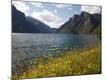 Photographic Print