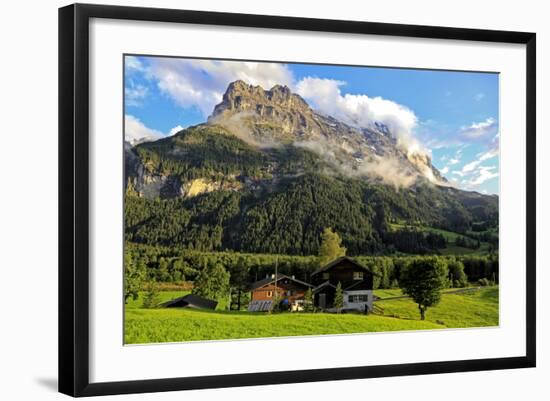 Photographic Print, , large
