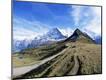Photographic Print