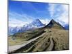 Photographic Print