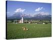 Stretched Canvas Print