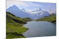 Photographic Print