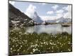 Photographic Print