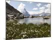 Photographic Print