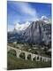 Photographic Print