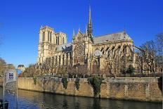 Seine River with Notre Dame Cathedral, UNESCO World Heritage Site, Paris, Ile de France, France, Eu-Hans-Peter Merten-Photographic Print