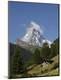 Photographic Print