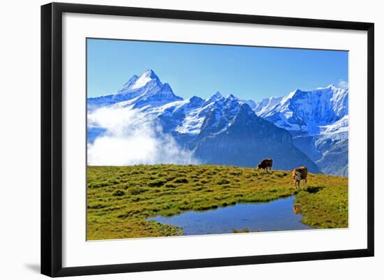Photographic Print, , large