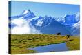 Stretched Canvas Print