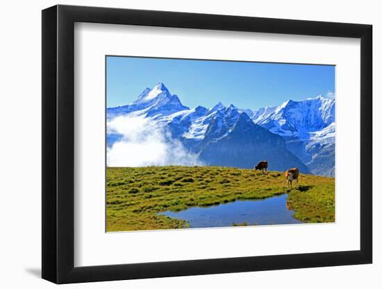 Photographic Print, , large