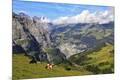 Photographic Print
