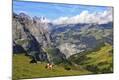Photographic Print