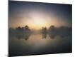 Photographic Print