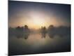Photographic Print