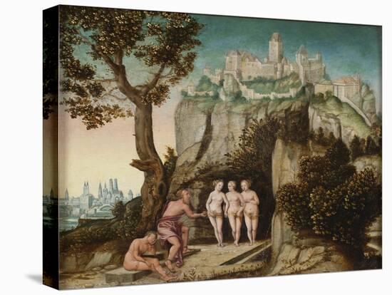 Stretched Canvas Print, , large