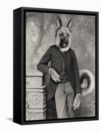 Hans The German Shepherd-J Hovenstine Studios-Framed Premier Image Canvas