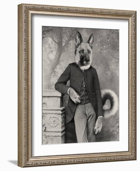 Hans The German Shepherd-J Hovenstine Studios-Framed Giclee Print